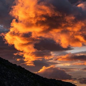 Dark Is The Night (Slowed + Reverb)