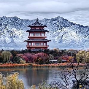 侠客行-令狐冲浪