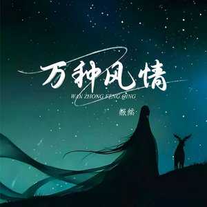 万种风情 (DJ版)