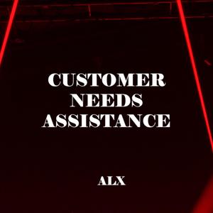 Customer Needs Assistance