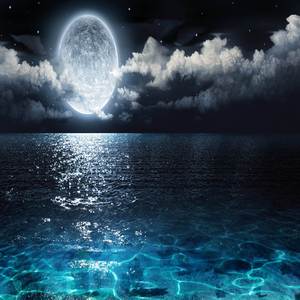 Tek It (I Saw The Moon) (Slowed + Reverb Guitars Vocals Only)