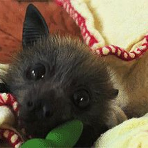 Be Nice To Me - Slowed