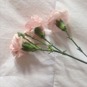 j'aime plus la vie (prod. teenpregnancy)