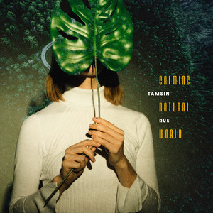 Birds Brave the Rain