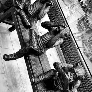 You down ? (feat. Jiggs)