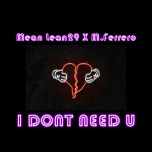 I Don't Need U