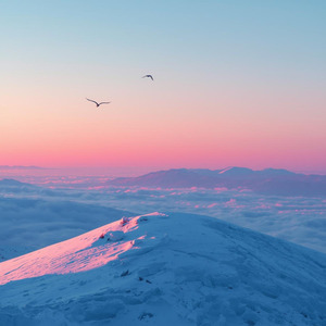 Sio Nona Body Pata Pata