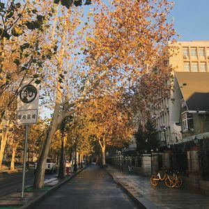 比较幸福（翻自 董又霖）