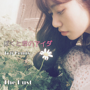 ぼくと君のアイダ (Lofi Remix)