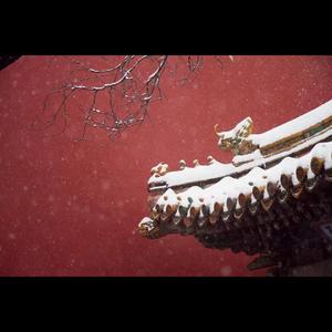 雪国之春(the spring snow)(flute version）