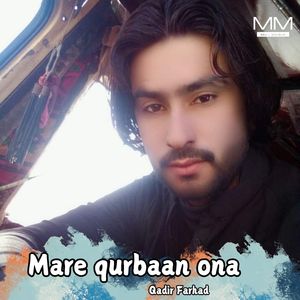 Marev na qurbaan