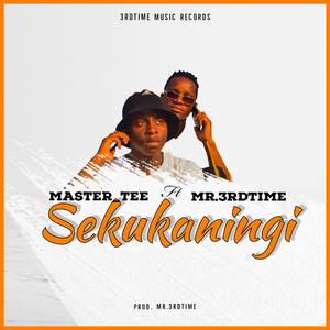 Sekukaningi (feat. Mr3rdtime) (Radio Edit)