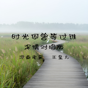 时光何曾等过谁（深情对唱版）