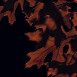 Lonesome (feat. Perry Maysun)