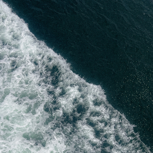 ここにいる (2021)