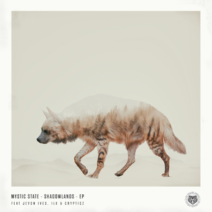 Shadowlands (Crypticz Remix)