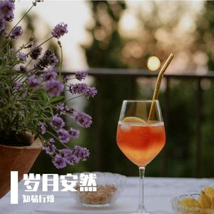 WAV文件_岁月安然_27824838264835588_1753546064769