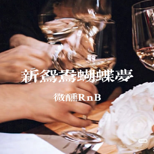 新鸳鸯蝴蝶梦 微醺RnB