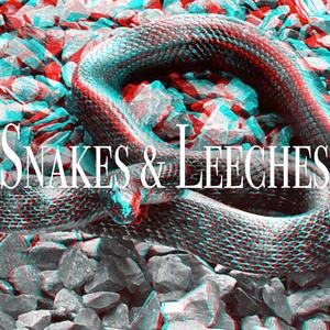 Snake & Leeches