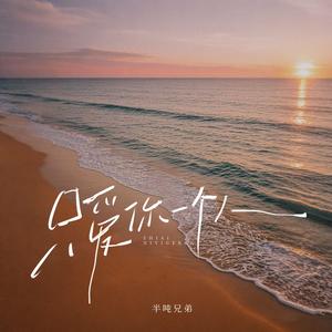 只爱你一个人 (烟嗓版伴奏)