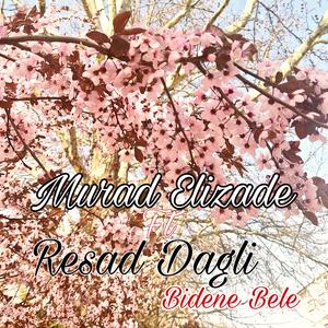 Bidene Bele
