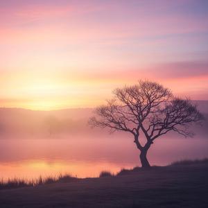 Whispers in the Rain