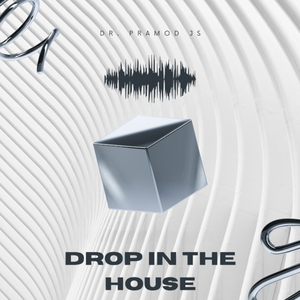 Drop in the House