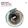 Little North - Terrible Seeds