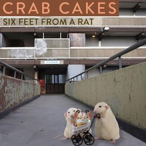 Six Feet From A Rat