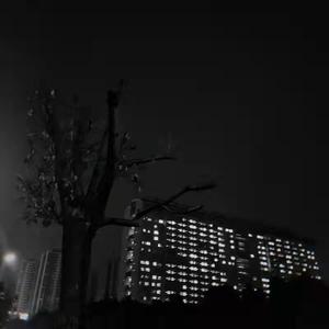 《森林》（翻自 mr.）