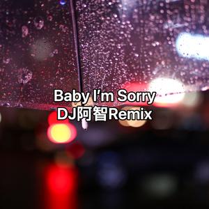 Baby I'm Sorry（DJ阿智版）