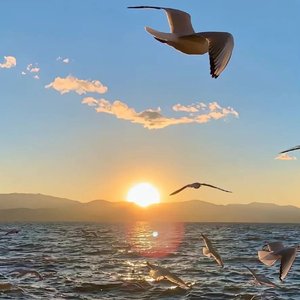 寻常午后_改.mp3