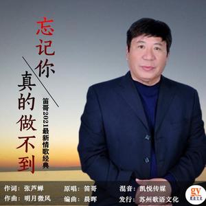 忘记你真的做不到-笛哥