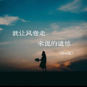 就让风卷走未说的遗憾live