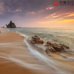 安静夏天树枝 -小提琴