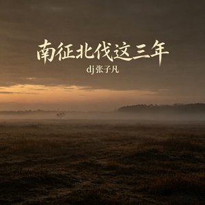 南征北伐这三年
