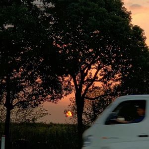 迷失森林的呼唤-整曲