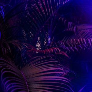 OPENa
