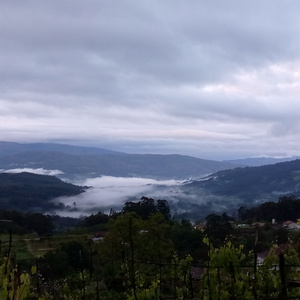 Vayámonos (Instrumental Version)