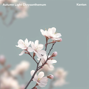 Autumn Light Chrysanthemum (From "Naruto")