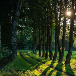 星辰晚霞终会与你并肩前行