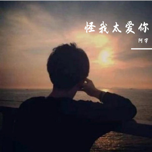 怪我太爱你
