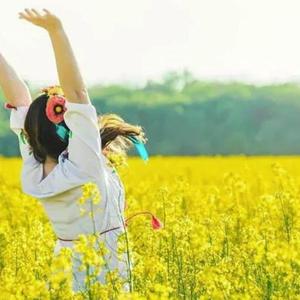 《油菜花香》- 词曲/王效拉