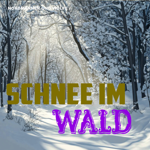 Schnee Im Wald