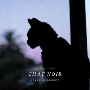 Chat Noir