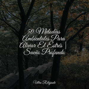 Alivio de la Ansiedad