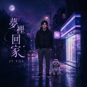夢裡回家