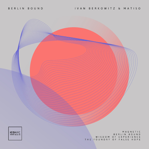 Wisdom of Experience (Original Mix)