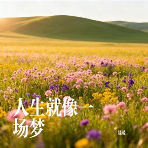 人生就一场梦