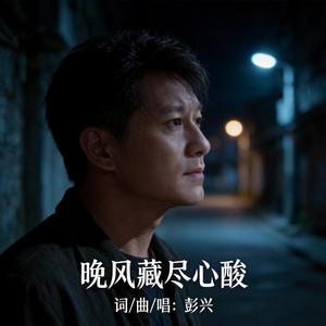 晚风藏尽心酸